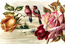 Оригинал схемы вышивки «птицы на розе» (№127070)