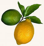Схема вышивки «два лимона»