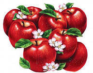 Оригинал схемы вышивки «яблочки» (№127714)