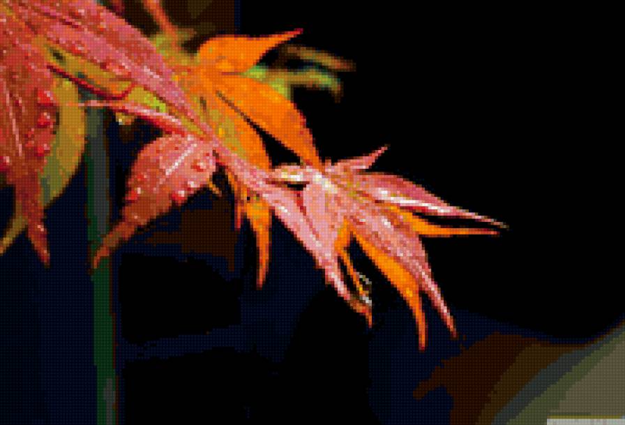 Осень - листья - предпросмотр
