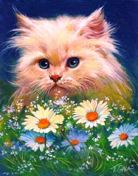 Кошки в цветах - ромашки, кошка, кошки в цветах, кошки, кот, животные. цветы - оригинал