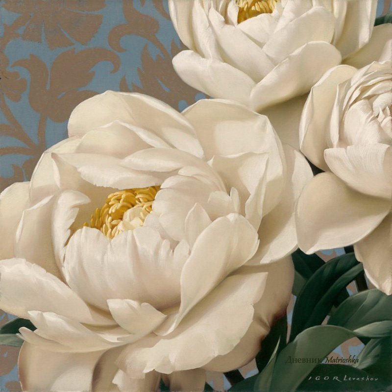 Белые пионы - цветы, белые пионы, пион, весенние цветы, флора, пионы - оригинал