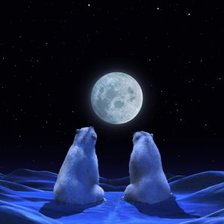 Схема вышивки «пара полярных медведей»