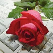Схема вышивки «Роза на клавиатуре»
