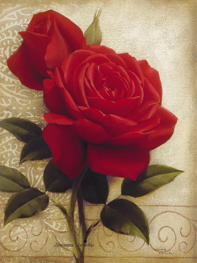 Розы - роза, розы, цветы, лепестки, душистые розы, букет - оригинал