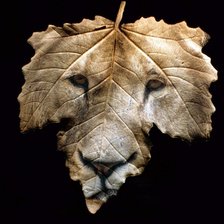 Оригинал схемы вышивки «Лев на листочке» (№134271)