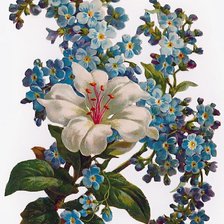 Оригинал схемы вышивки «цветы» (№138946)
