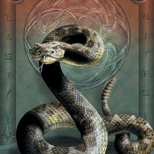 Схема вышивки «Змея»