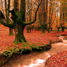Схема вышивки «Серия "Осень" Ручей в лесу»