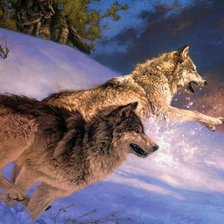 Схема вышивки «Волки на охоте»