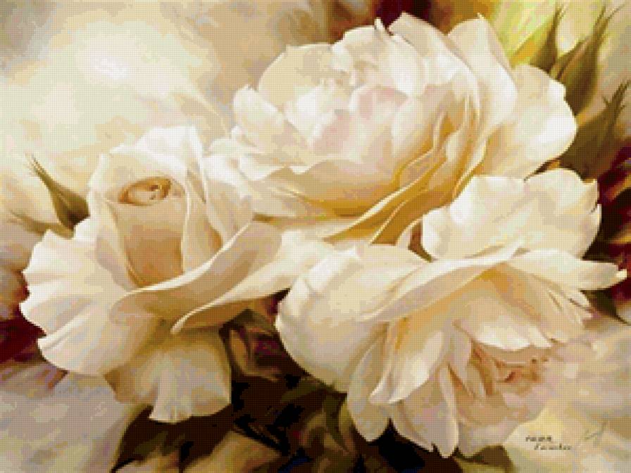 №141468 - розы, букет, цветы - предпросмотр