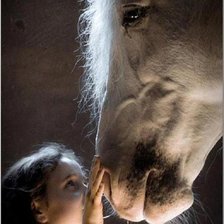 Схема вышивки «девочка и лошадь»