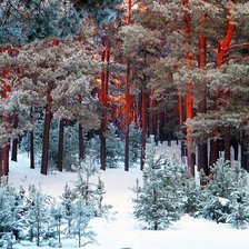 Схема вышивки «зимнее утро в лесу»