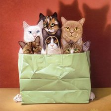 Схема вышивки «коты в пакете»