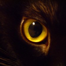 Схема вышивки «кошачий глаз»