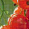 Предпросмотр схемы вышивки «красная смородина» (№143486)