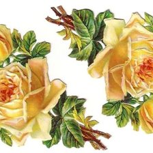 Оригинал схемы вышивки «Подушка"Цветы"» (№144779)