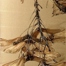 Схема вышивки «Ветвь клена»