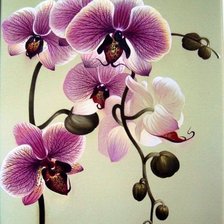Оригинал схемы вышивки «орхидея» (№146648)