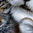 Предпросмотр схемы вышивки «tigers» (№147721)