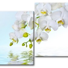 Оригинал схемы вышивки «весенние орхидеи» (№148576)