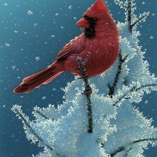 Схема вышивки «Птица зимой»