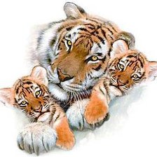 Оригинал схемы вышивки «Тигрица с тигрятами» (№152619)