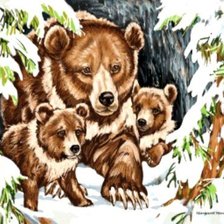медведи в берлоге