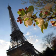 Париж. Весна