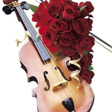 скрипка и розы
