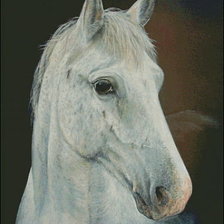 Оригинал схемы вышивки «белая лошадь» (№165587)