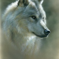 Оригинал схемы вышивки «Волк» (№165879)
