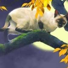 Оригинал схемы вышивки «кошка на дереве» (№165975)