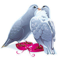Свадебные голуби - голуби, птици, нежность, природа, картина, любовь - оригинал