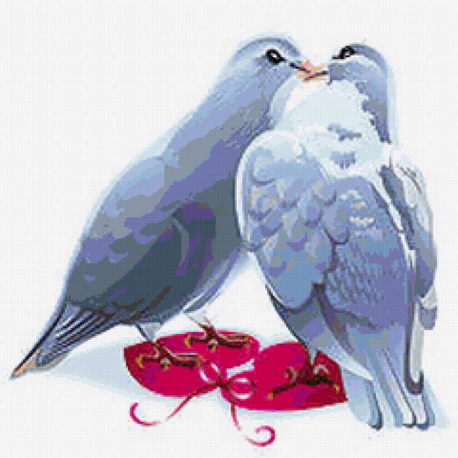 Свадебные голуби - картина, любовь, природа, голуби, птици, нежность - предпросмотр
