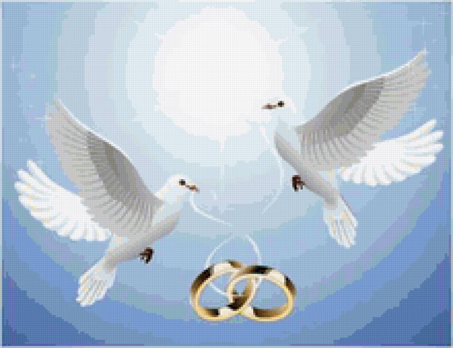 Свадебные голуби - картина, птици, природа, любовь, голуби, нежность - предпросмотр