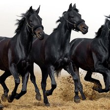 Схема вышивки «Бегущие лошади»