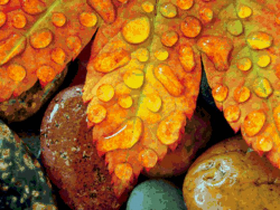 Кленовый лист-краски осени - лист, осень, камни - предпросмотр
