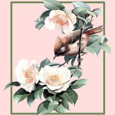Схема вышивки «птица на цветущей ветке»