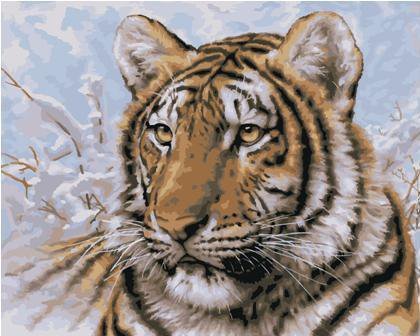 Большие кошки - тигр, кот, зима, снег - оригинал