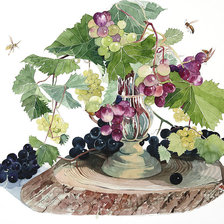Оригинал схемы вышивки «виноград» (№174327)