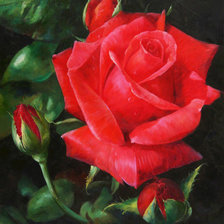 Оригинал схемы вышивки «Красная Роза» (№177124)