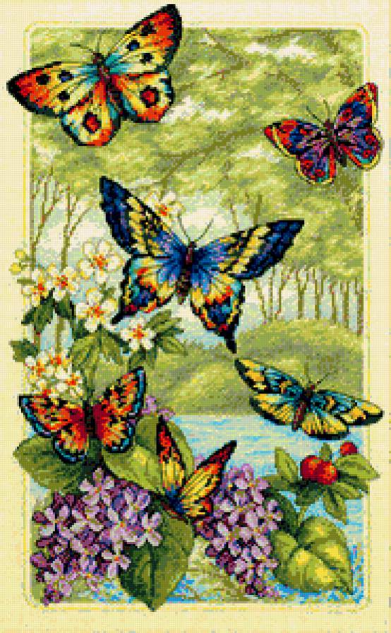 Бабочки разноцветное пано - бабочки, цветы - предпросмотр