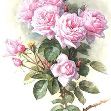 Схема вышивки «Прекрасные розы от Лонгре 3»