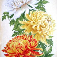 Оригинал схемы вышивки «хризантемы» (№179897)