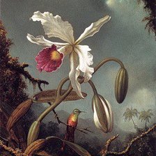 Схема вышивки «Орхидея и колибри»