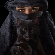 Схема вышивки «женщина в черном с кошкой»
