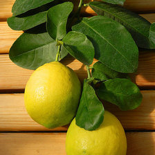Оригинал схемы вышивки «лимон» (№189201)