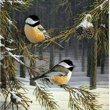 Схема вышивки «птички зимой»