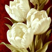 Оригинал схемы вышивки «Белые тюльпаны» (№191142)